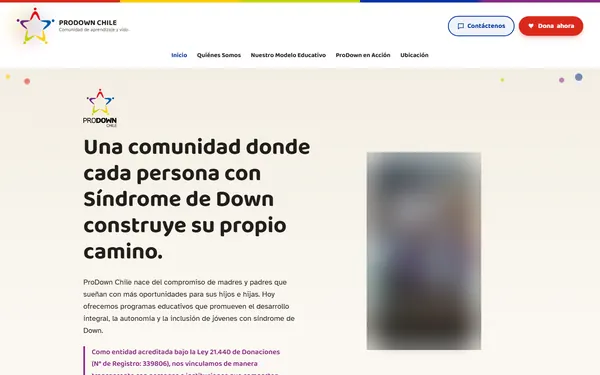Portada del sitio prodownchile.com